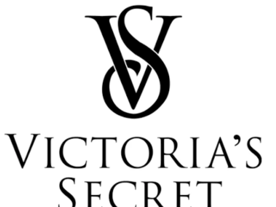 VS Logo