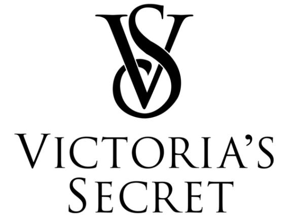VS Logo